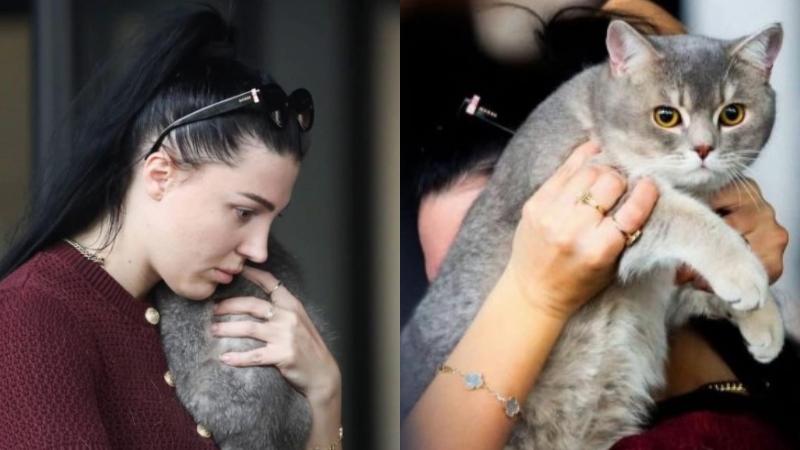 Mes flakëve  vajza shpëton macen dhe prek zemrat e qytetarëve