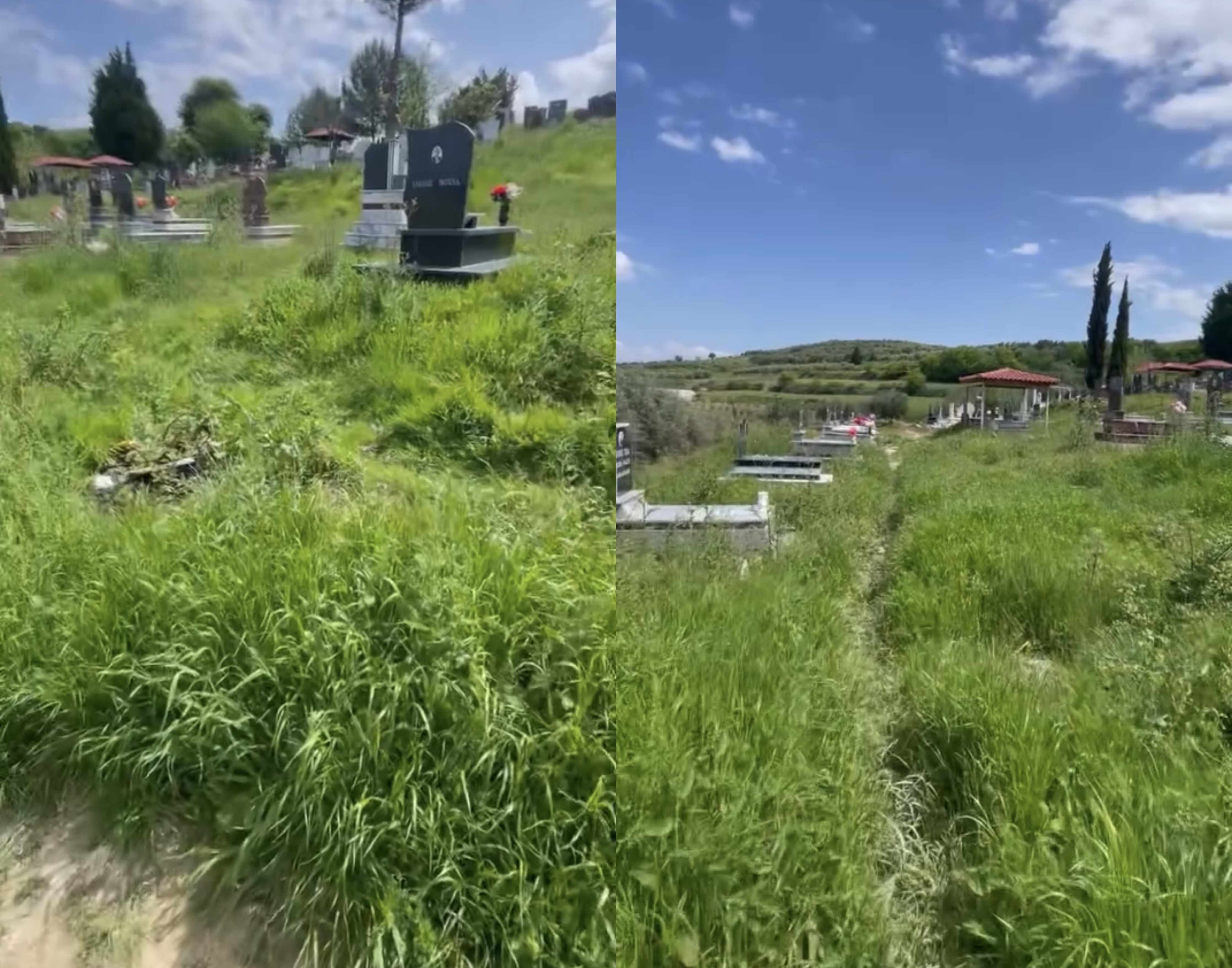 Varrezat i ka mbuluar bari, Bashkia Dimal merr taksat dhe s’bën punën