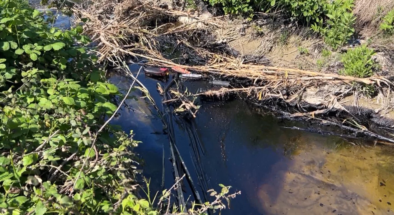 Katër punonjës të  Albpetrol  ndotin Parkun Kombëtar të Vjosës