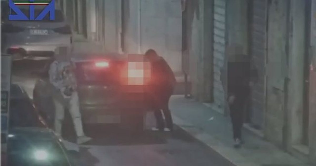 Operacioni i SPAK  Koka e pastrimit të parave Kamberi  transportin e bënte Bishja
