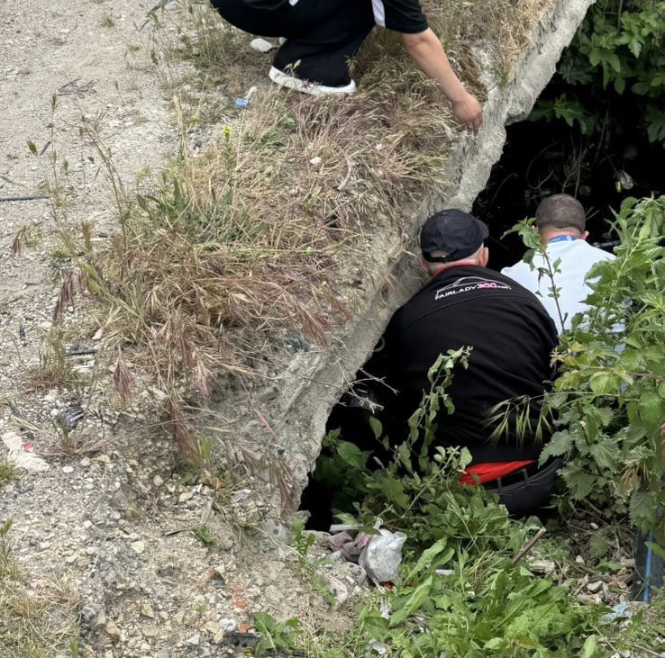 Nëna humbi kuletën, shoferi i autobusit shpëton fëmijën që ra me karrocë në kanal