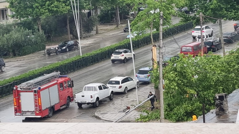 Era e fortë në Vlorë rrëzon pemët, bllokohet kalimi në lagjen “Kushtrimi”
