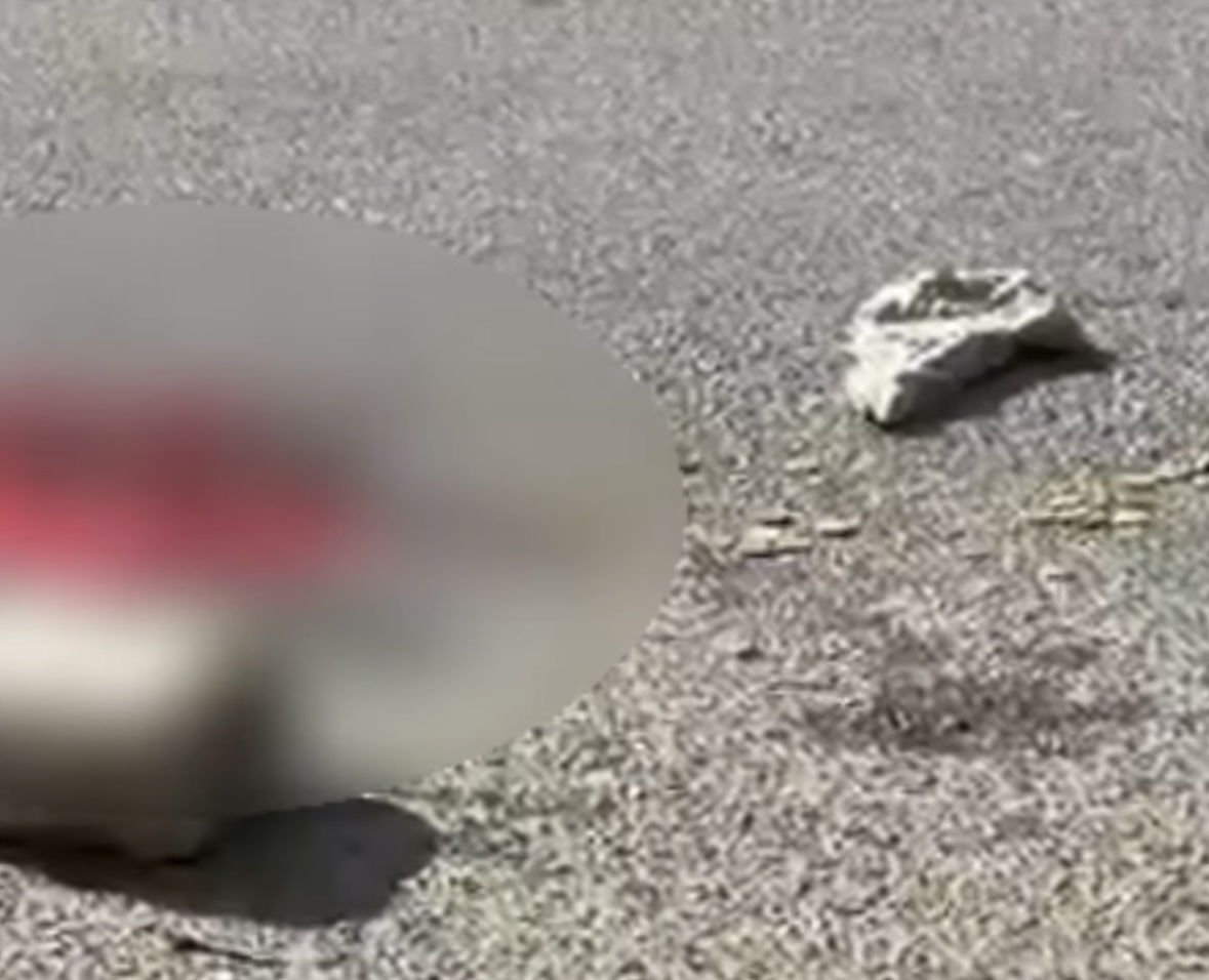 Po lëvizte me një karrocë dore  makina përplas për vdekje të moshuarin në Shkodër