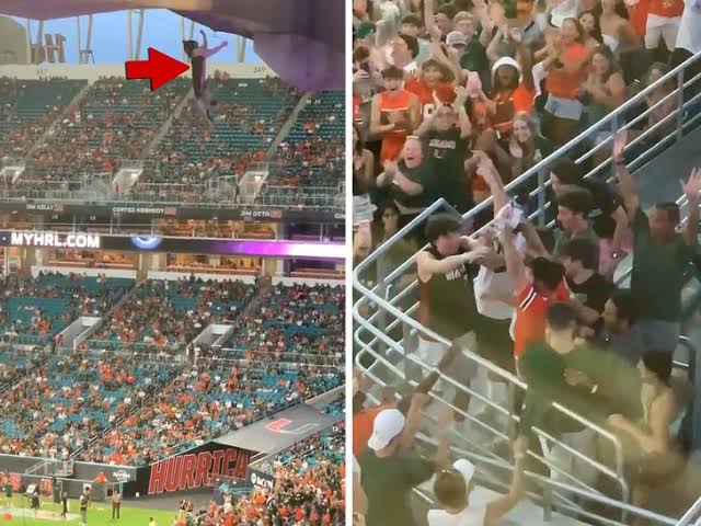 Macja bie nga lartësia e tribunës së stadiumit  tifozët i shpëtojnë jetën me një flamur