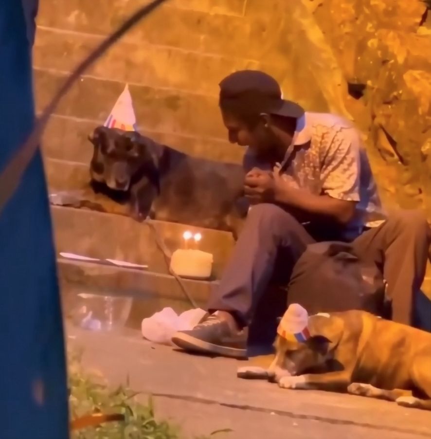 Dashuri pa kushte  i pastrehu feston ditëlindjen e qenve të tij