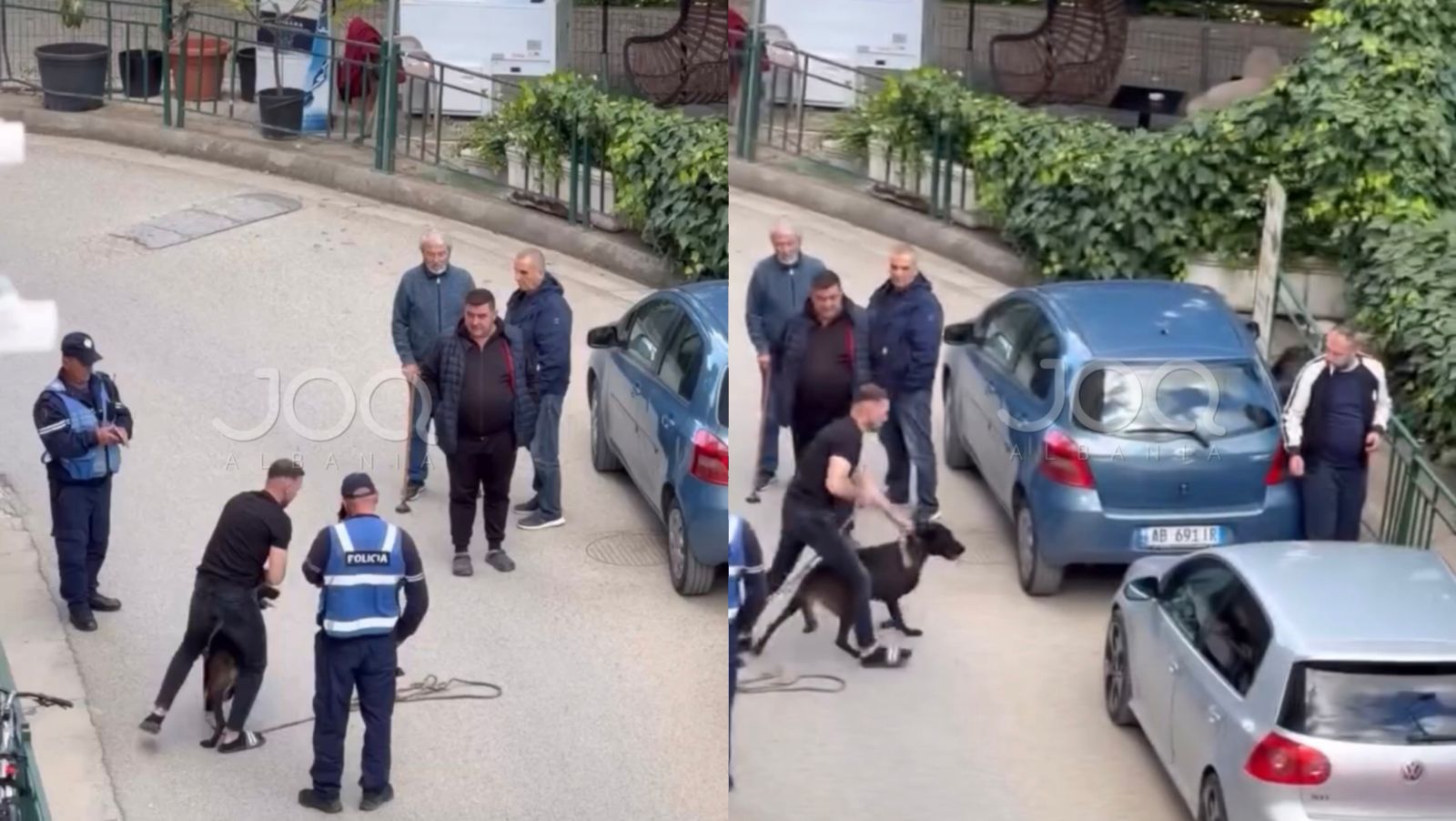 Qeni tenton të sulmojë fëmijët në këndin e lojërave në Tiranë  neutralizohet në kohë nga një i ri