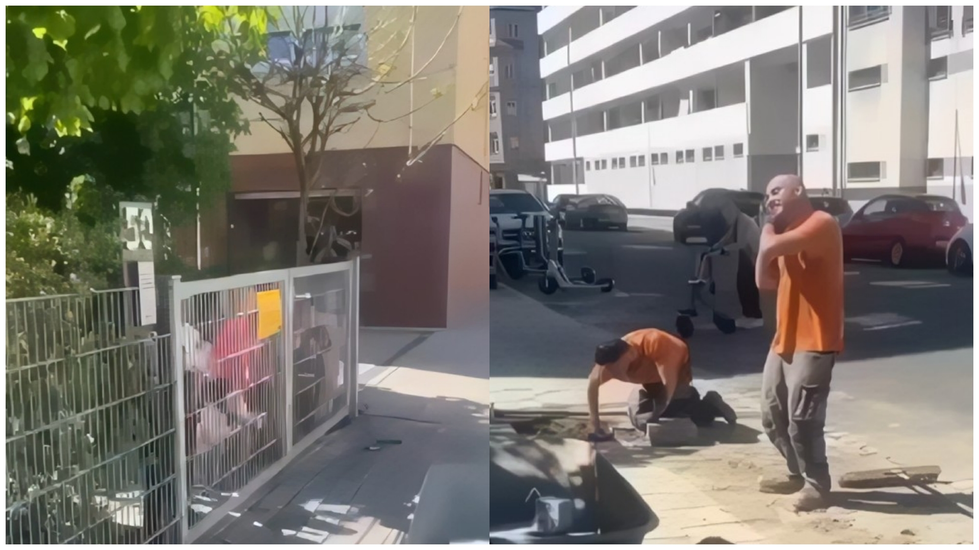 Shqiptari në Gjermani ndalon punën dhe këndon me fëmijët e kopshtit
