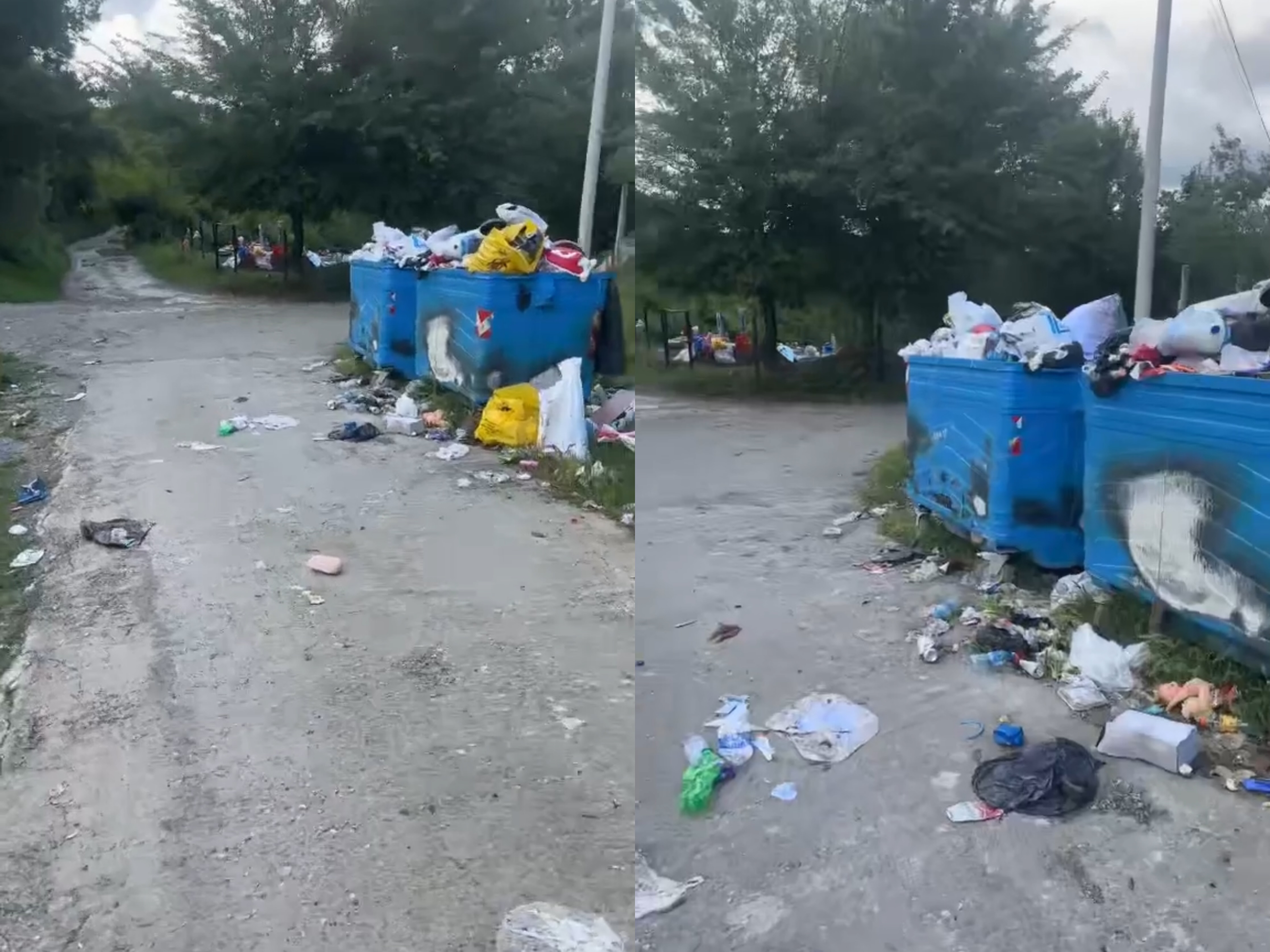 Prushi i mbuluar nga mbeturinat  qytetari  Prej 2 javësh nuk vjen askush t i mbledhë