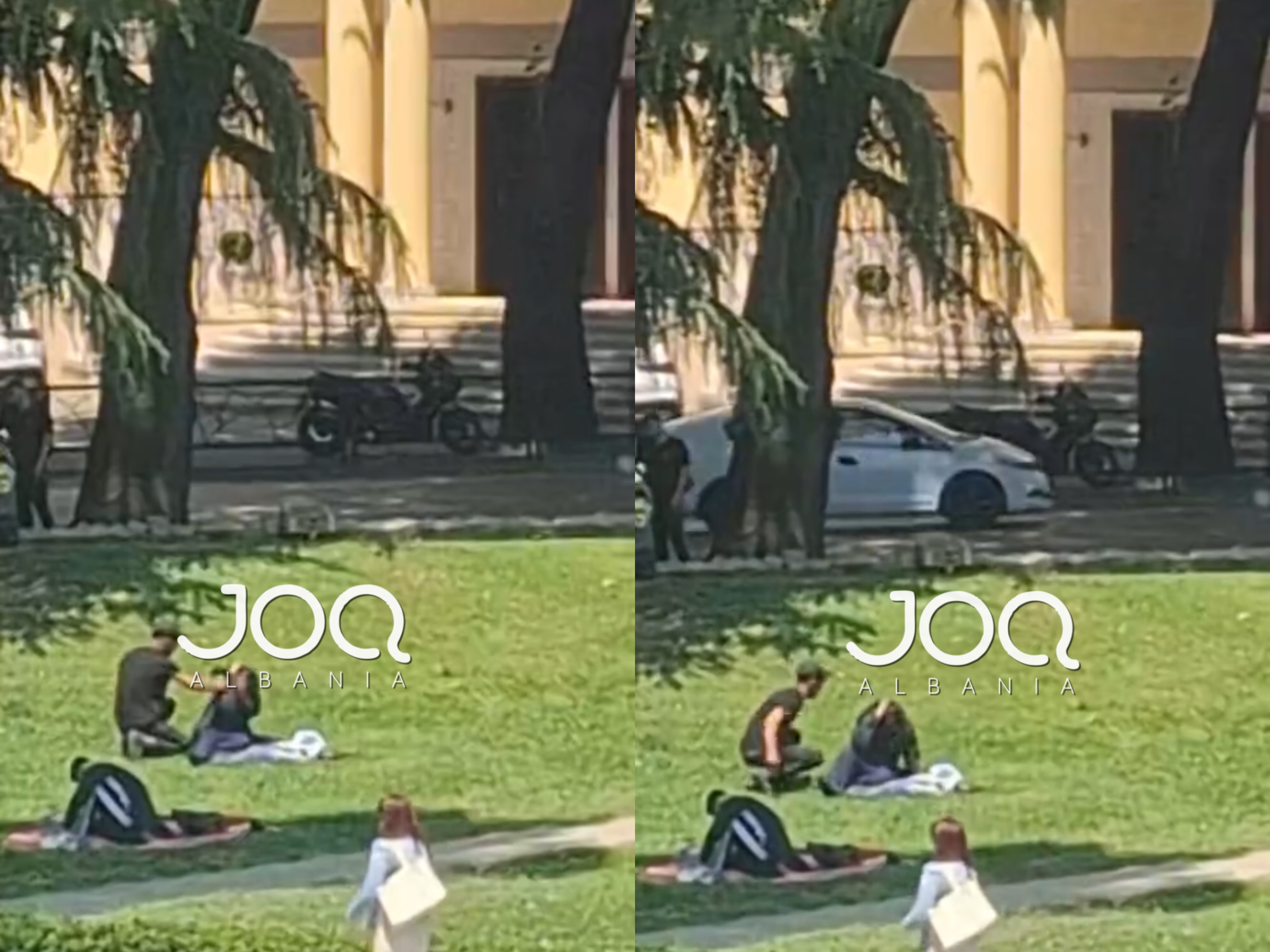 Pamje të rënda  I riu dhunon të moshuarën në park  e godet me grushta kokës