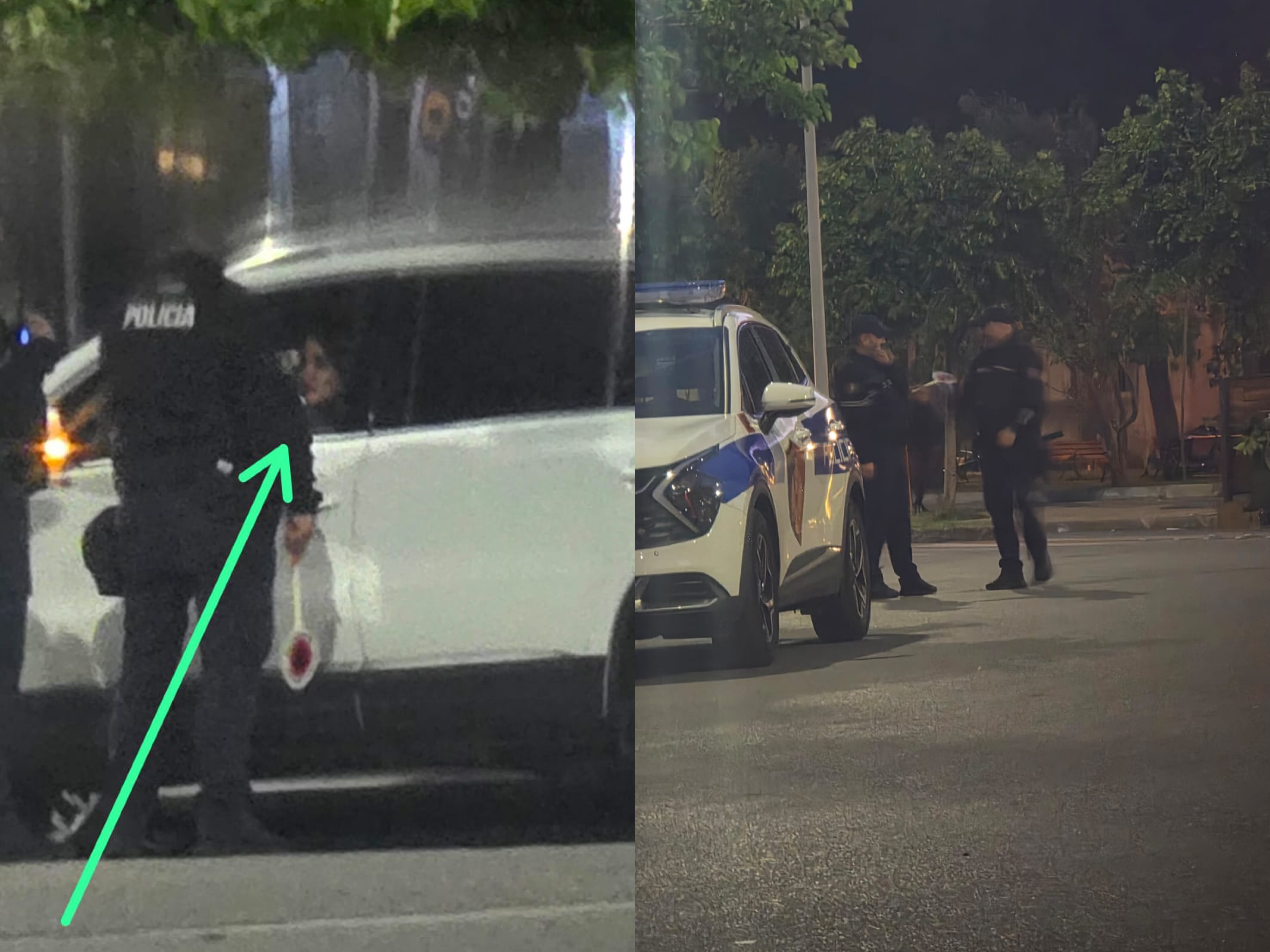 Jo më policë pas pemëve dhe shkurreve   urdhri i drejtor Nerit s ka mbërritur akoma në Shkodër
