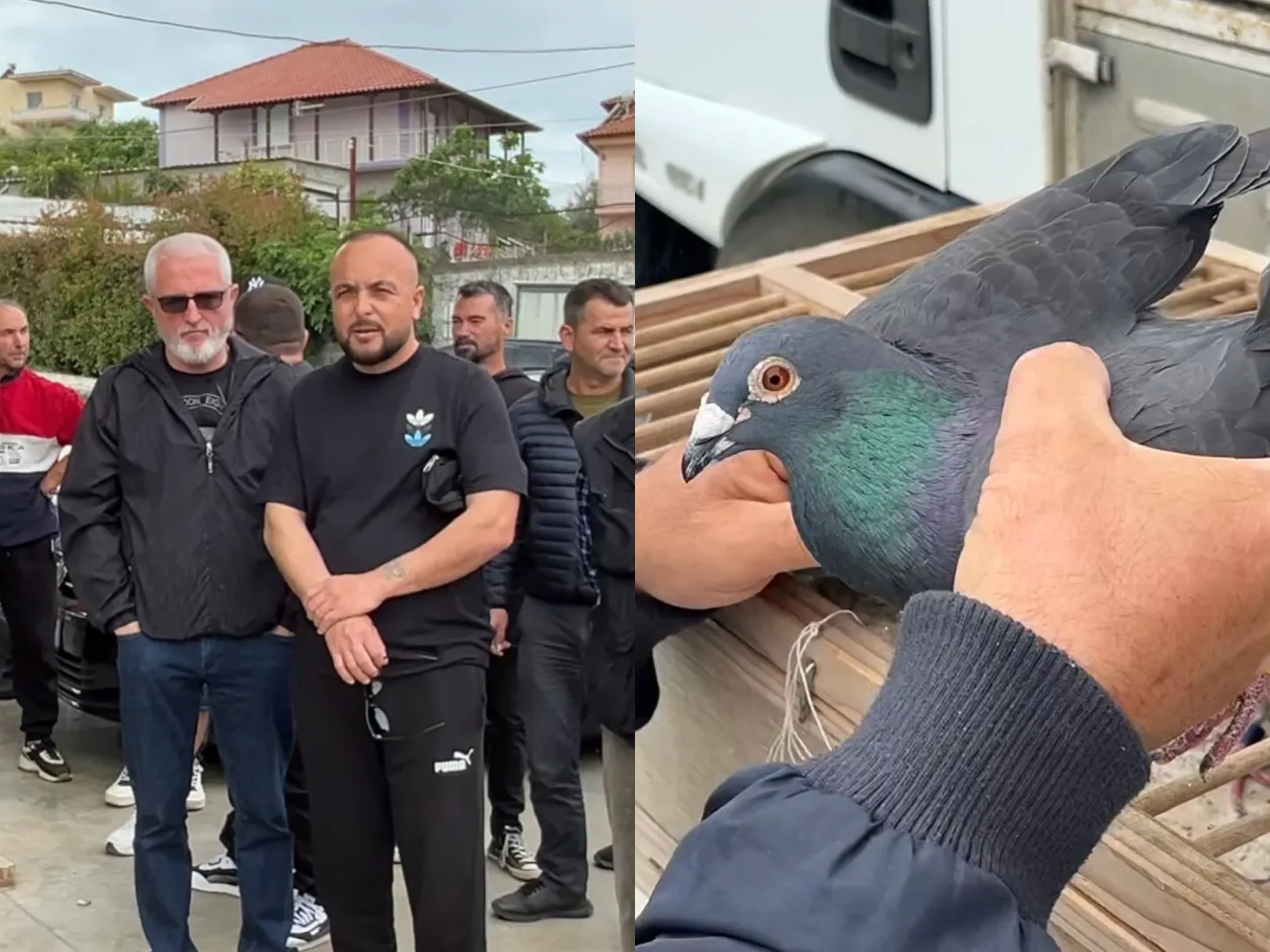 Shoqata  Pëllumbat e Postës 2003  proteston në Fier  Rrezikohen garat ndërkombëtare