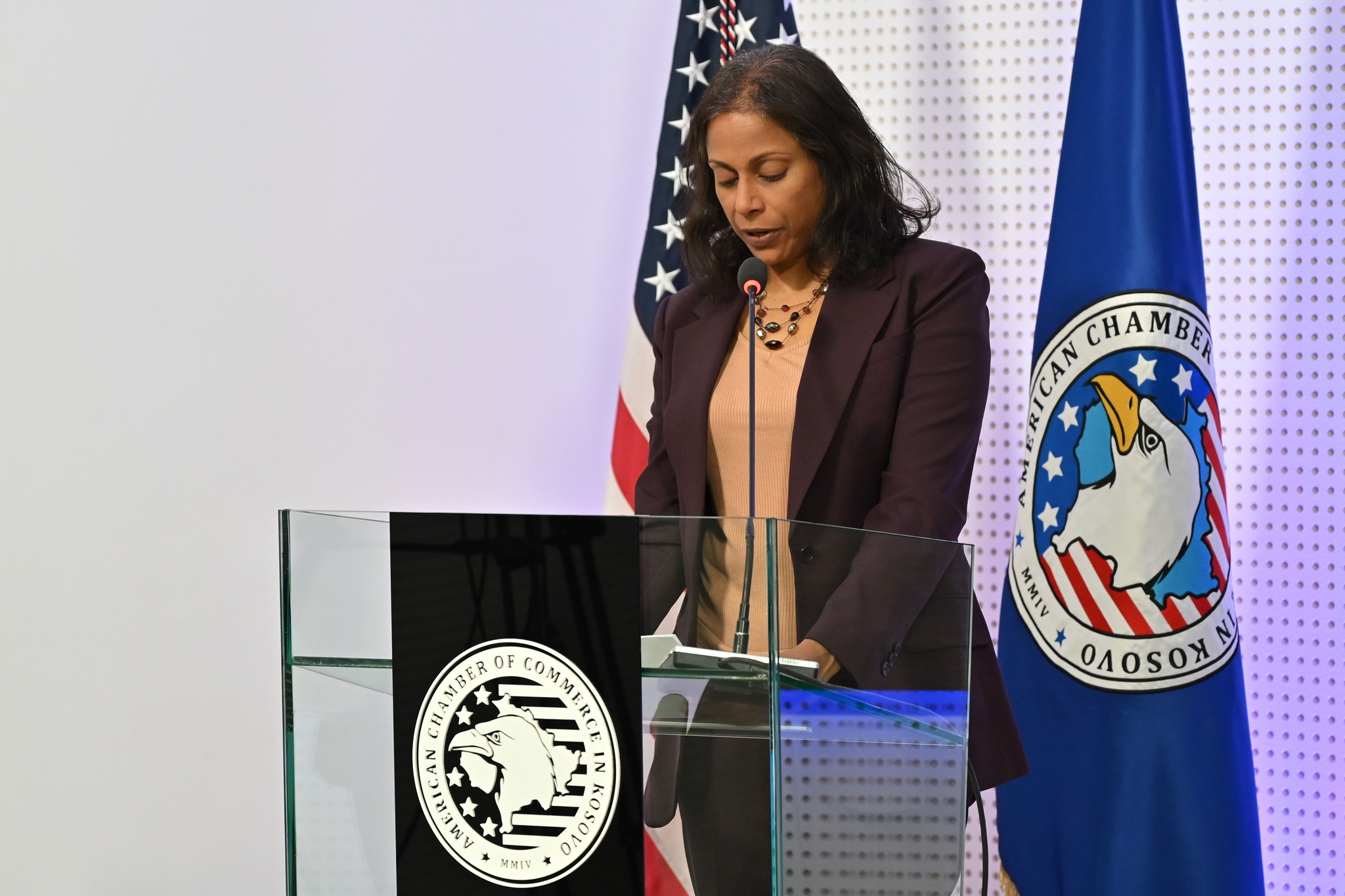 SHBA del me thirrje publike që Kosova t’i bashkohet gazit amerikan, Prattipati del me një qëndrim