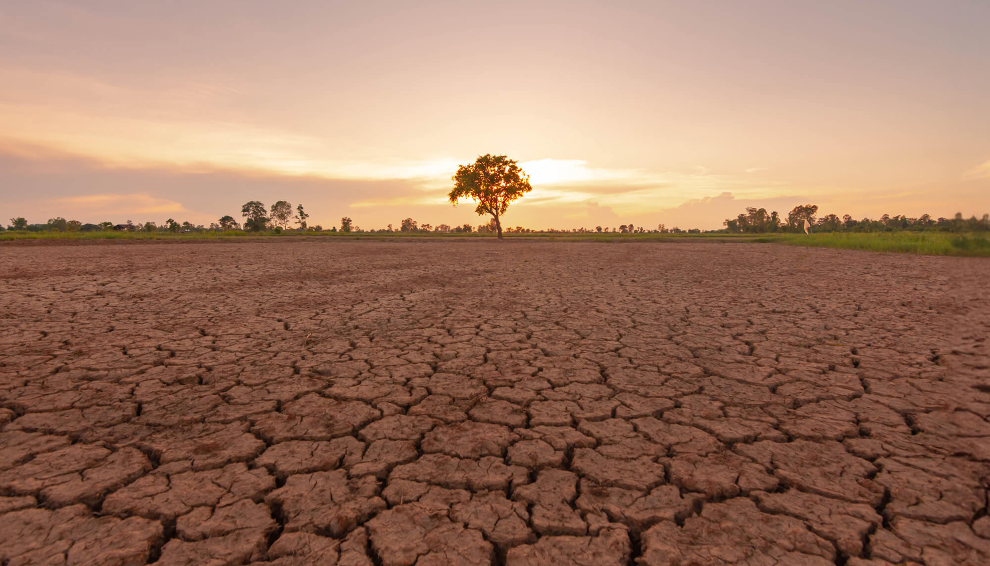 5 vite me nxehtësi ekstreme  El Niño mund të sjellë rekorde të reja globale