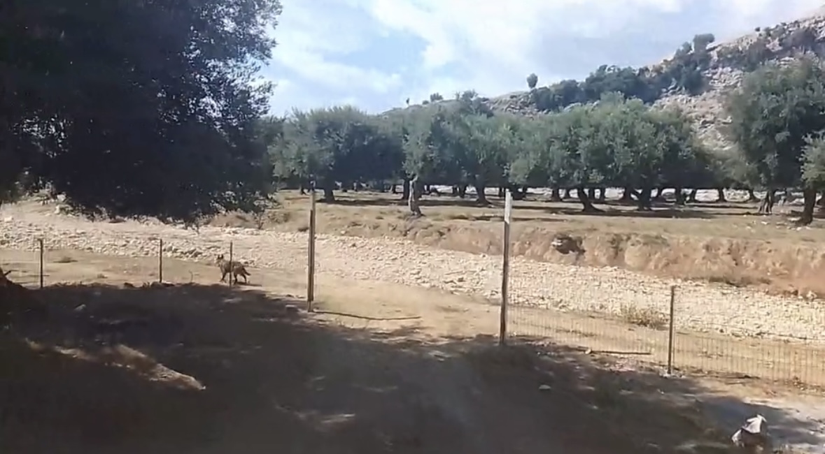  Po na mbyllin rrugën e fshatit   banorët e Lukovës denoncojnë zaptimin e tokës shtetërore