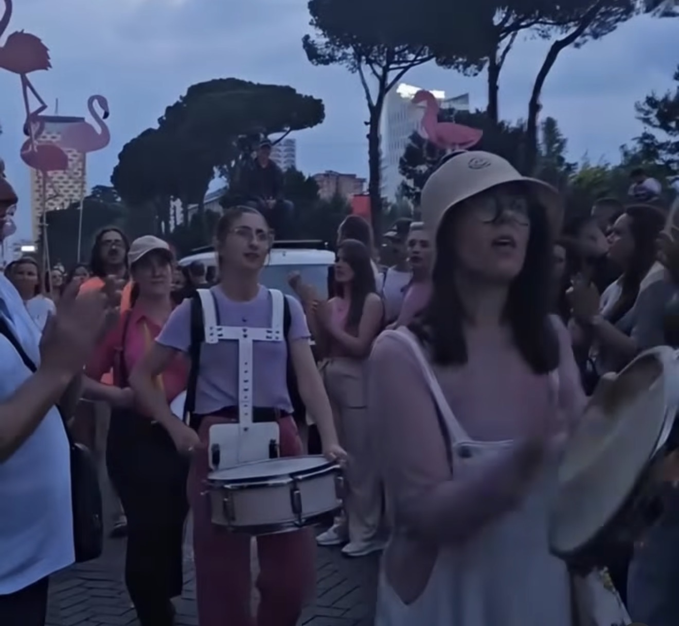 Flamingot pink në protestë me megafonë