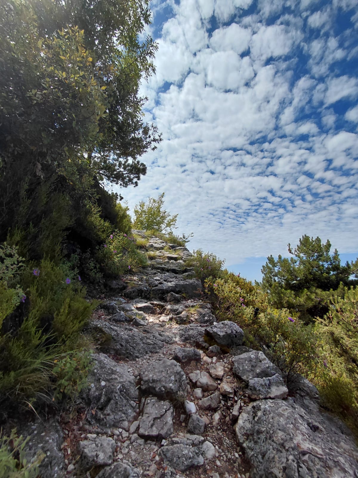 Gurët e kalldrëmit historik në shtegun Krujë Sarisalltik do shkulen e zëvendësohen