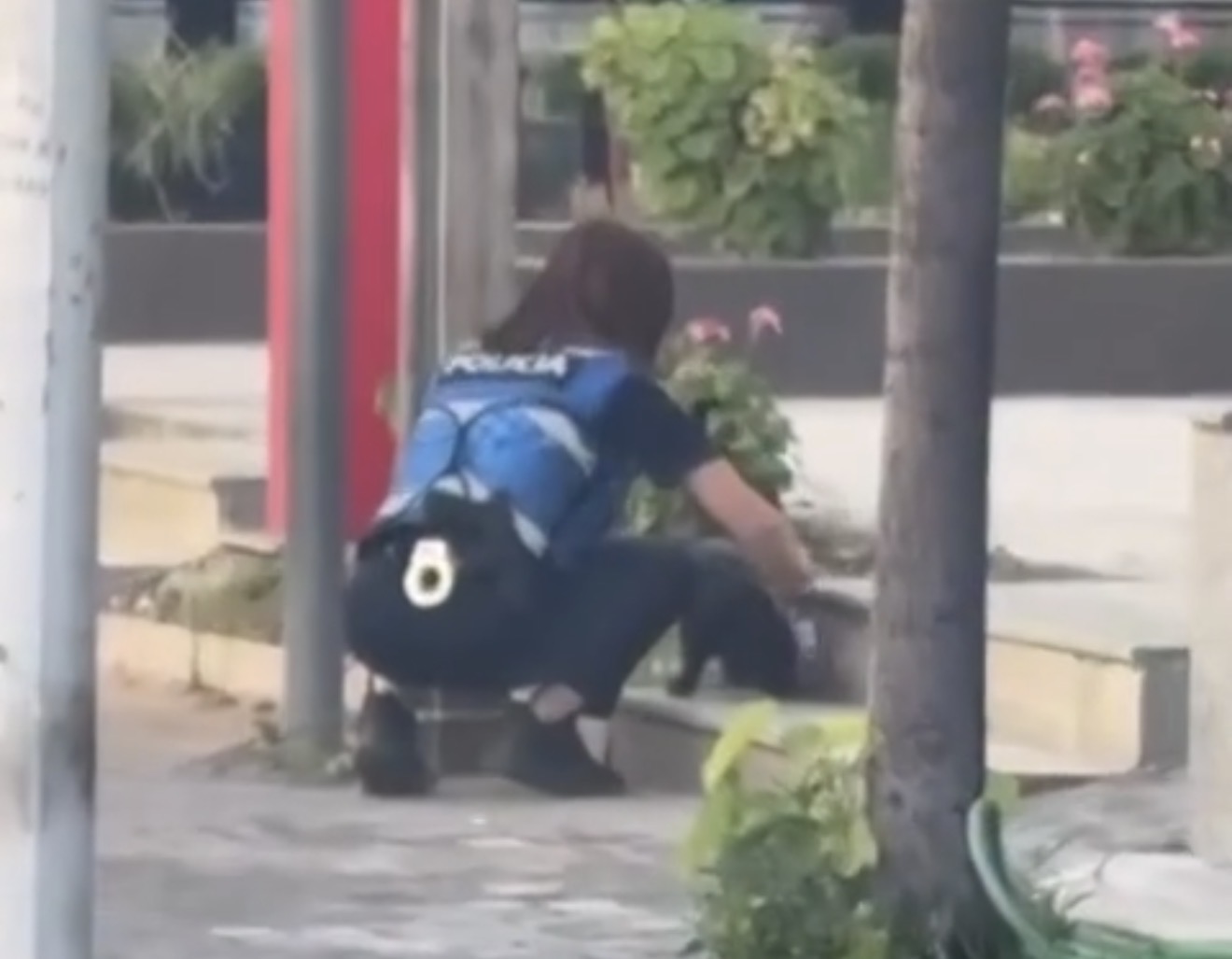 Policja ndalon për të ushqyer një mace endacake