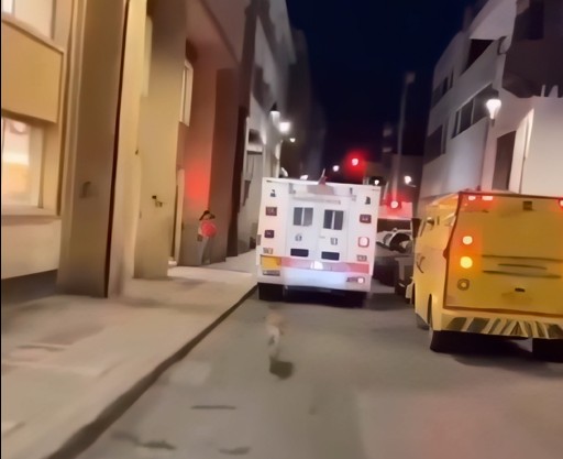 Qeni vrapon pas ambulancës ku ndodhet i zoti, mjekët e marrin brenda