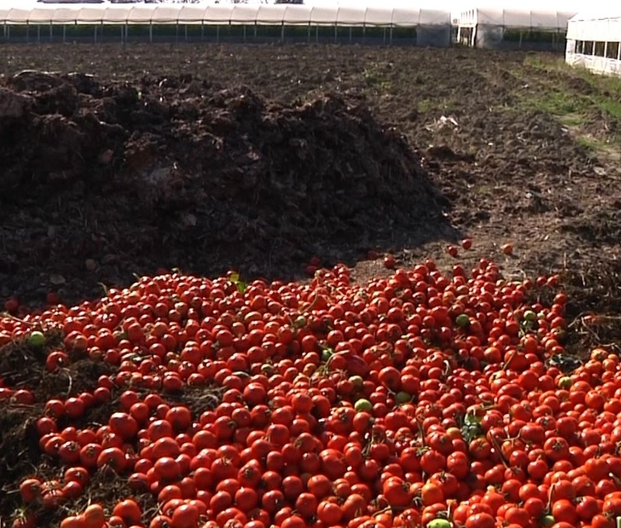 Prodhimi vendas në Shqipëri në vështirësi