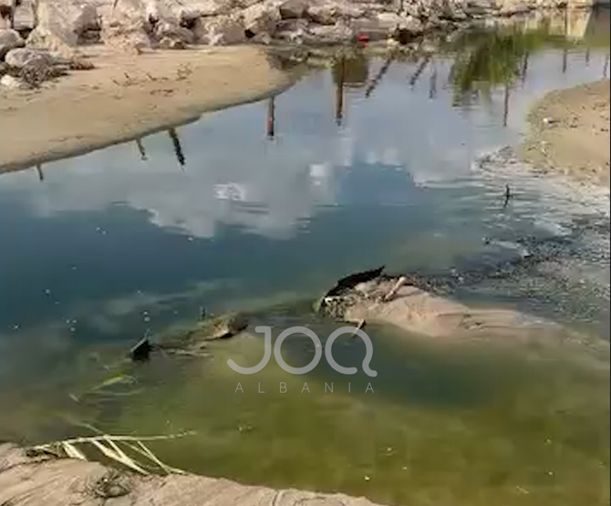 Plazhi i Golemit ‘pushtohet’ nga m*ti