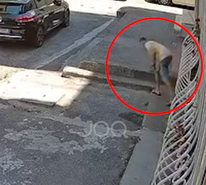 “I bëj thirrje ta kthejë celularin, brenda ka gjithçka që lidhet me shëndetin e nënës”