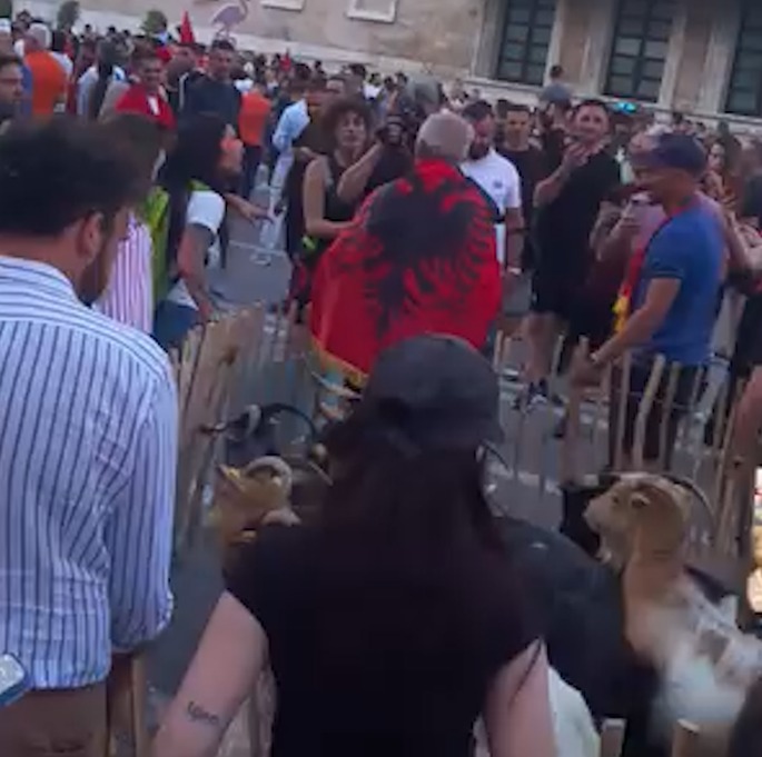 Pamje e pazakontë nga protesta   Delegacioni  i dhive shfaqet para Kryeministrisë