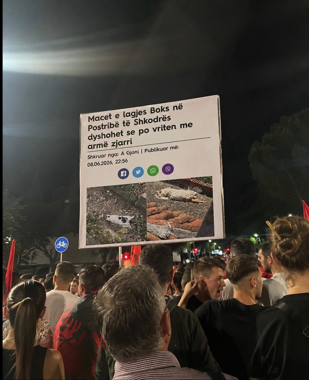 Protestuesit kthejnë në pankartë artikullin e JOQ për macet e vrara me armë zjarri në Shkodër