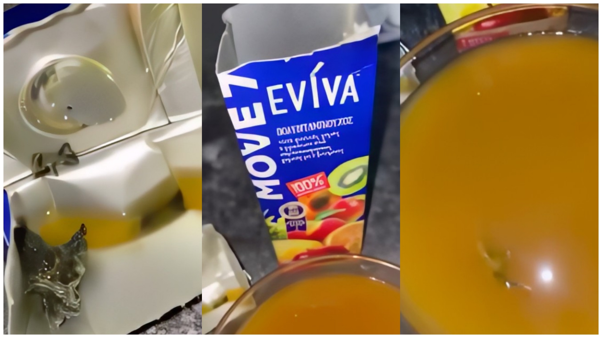 MOVE EVIVA prezanton shijen më të re të amitës, atë me myk