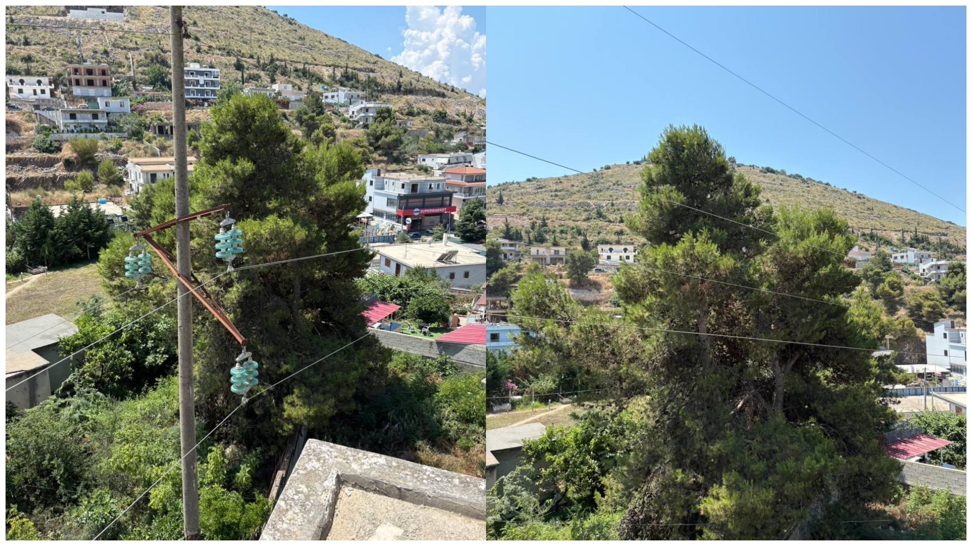 Alarm në Sarandë: Pema e mbështetur mbi linjën elektrike rrezikon banorët