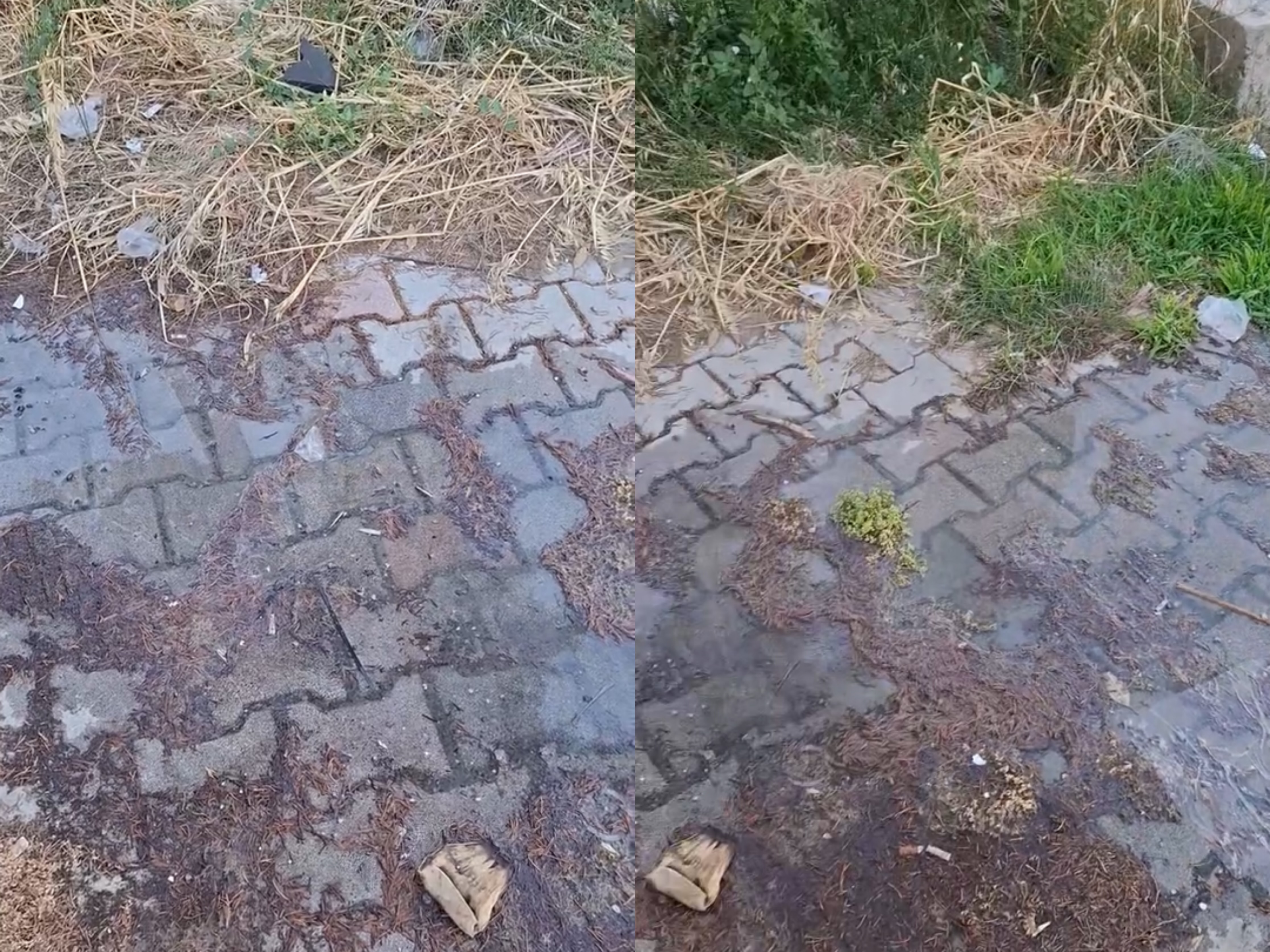 Pallati pa kanalizime po ndot zonën turistike të Shkëmbit të Kavajës