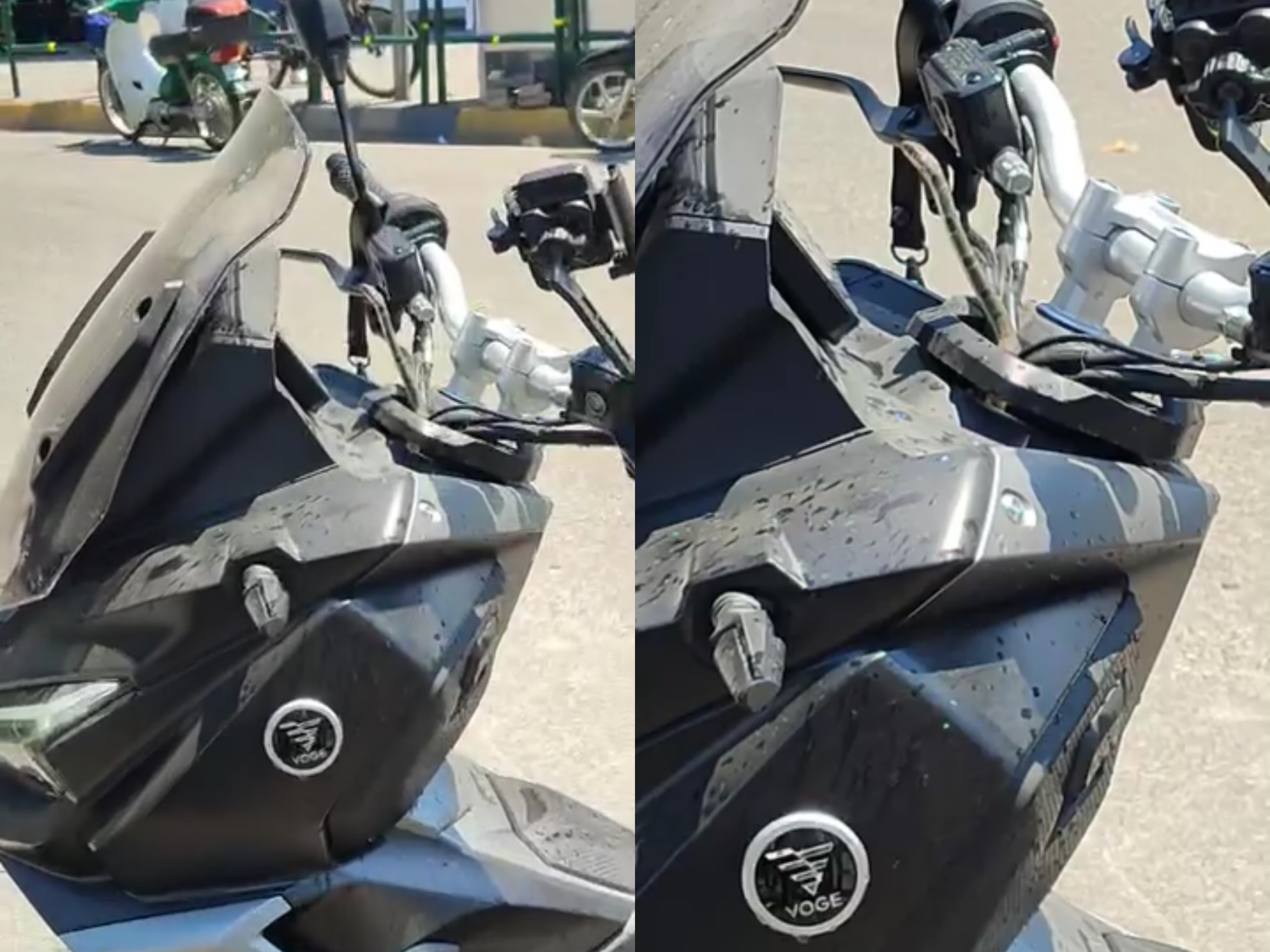 E pazakontë në Tiranë  gjarpri del nga një motor në lëvizje pranë tregut të Medresesë