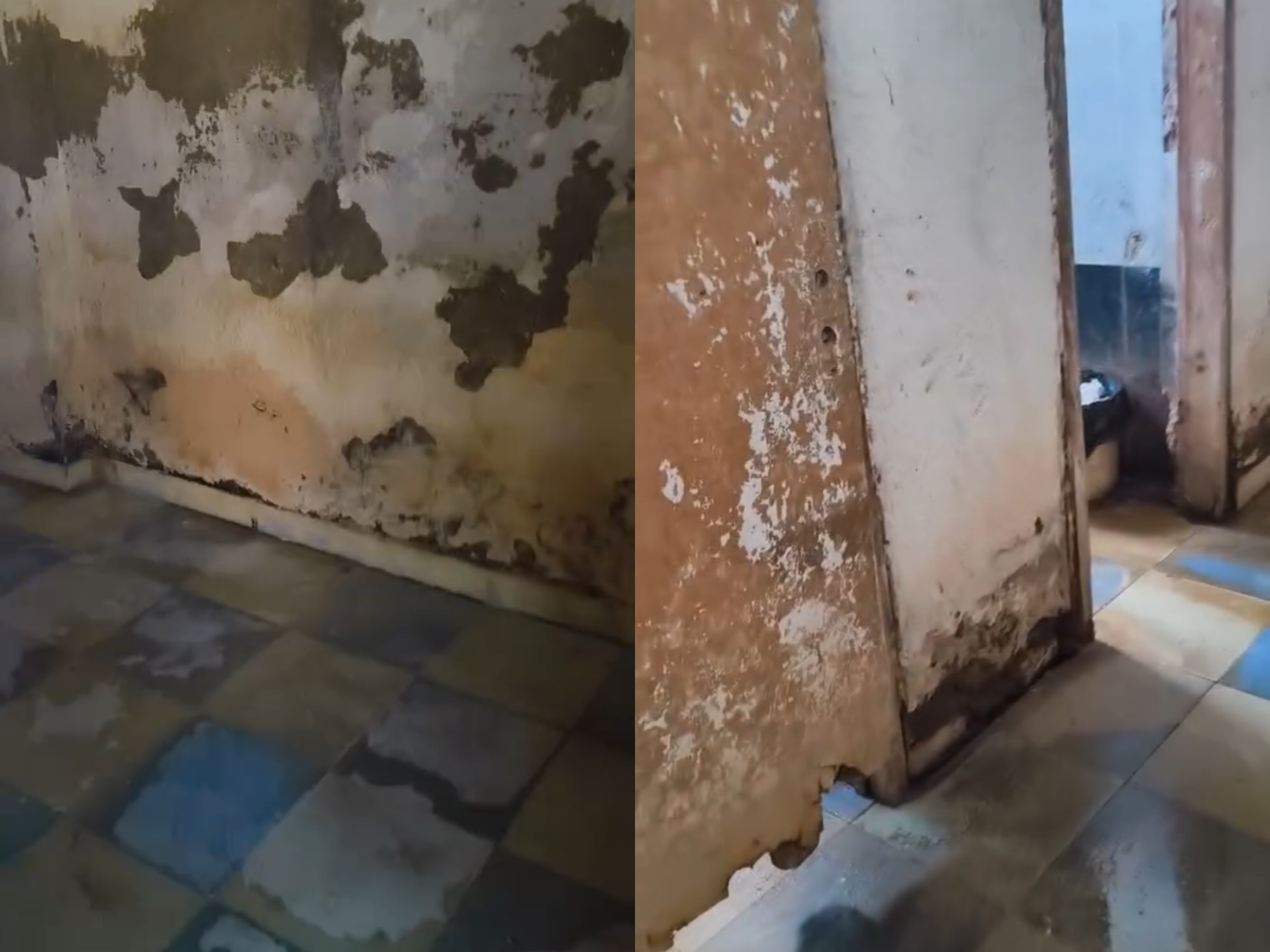 Tualetet pranë tregut në Pogradec në gjendje të rënduar  Erë e rëndë dhe 0 higjienë