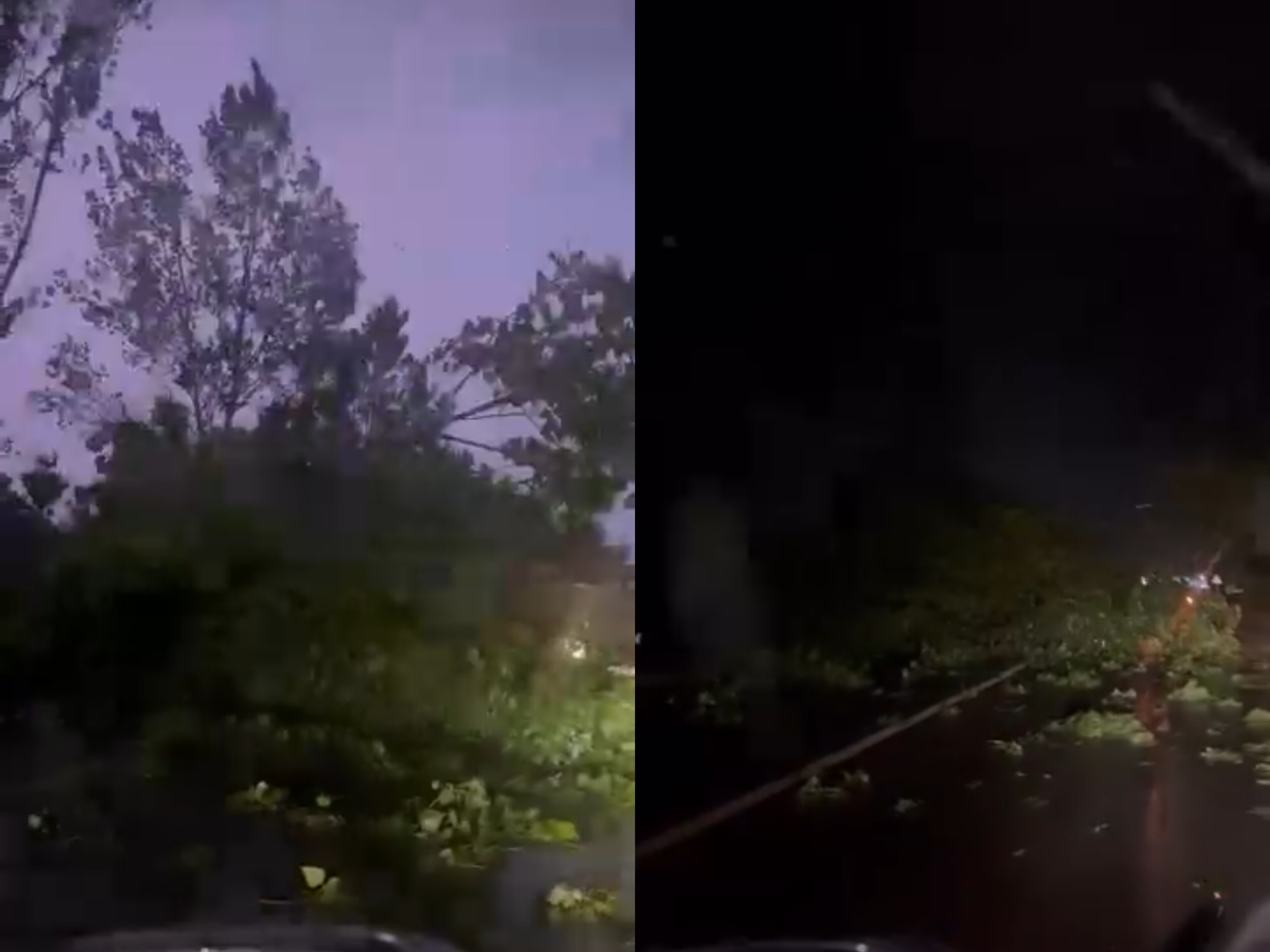 Reshjet e dendura në Nikël rrëzojnë një pemë  bllokohet rruga