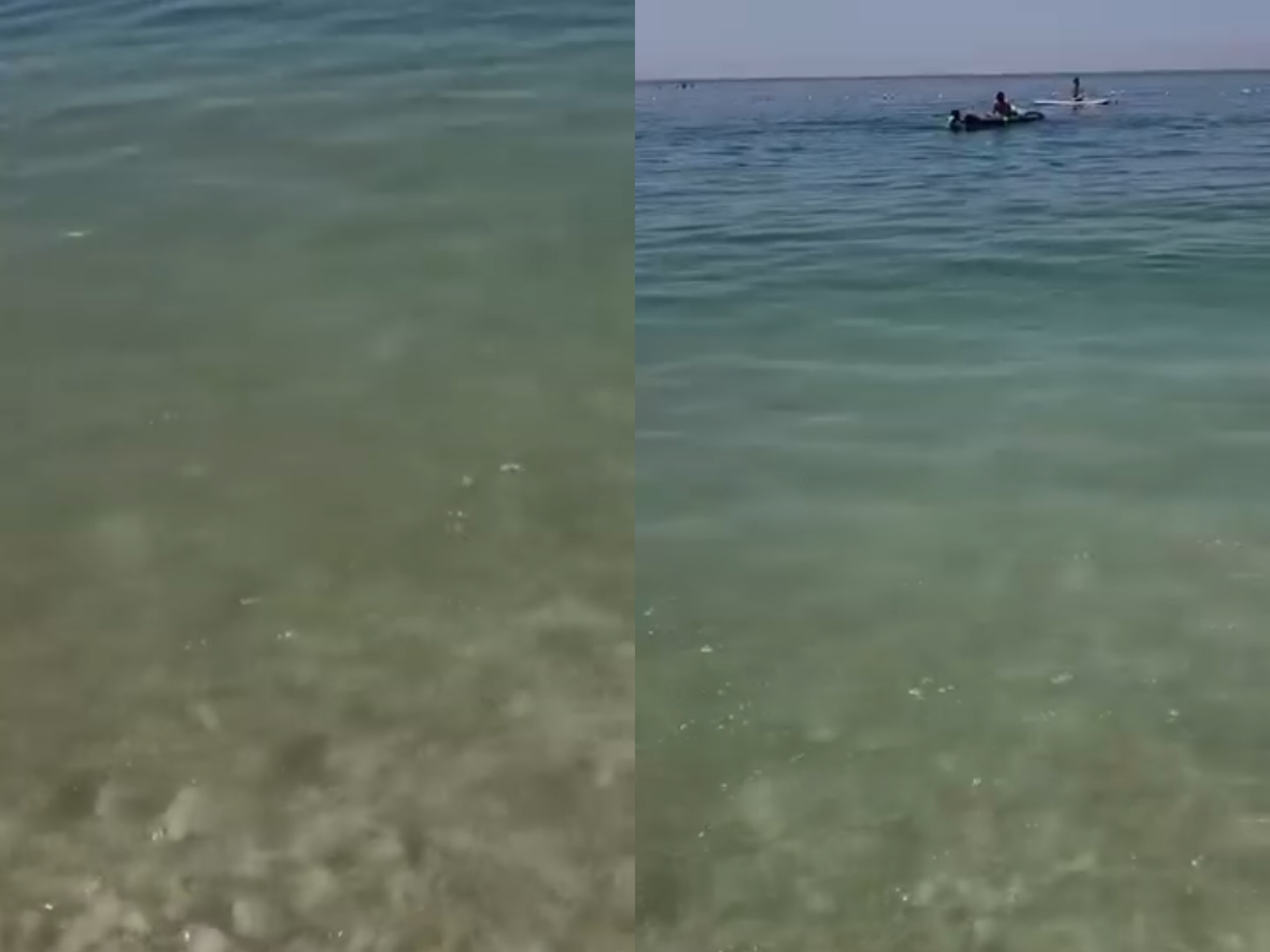 Ndotje alarmante në plazhin e Potamit  pushuesit s lahen dot në det