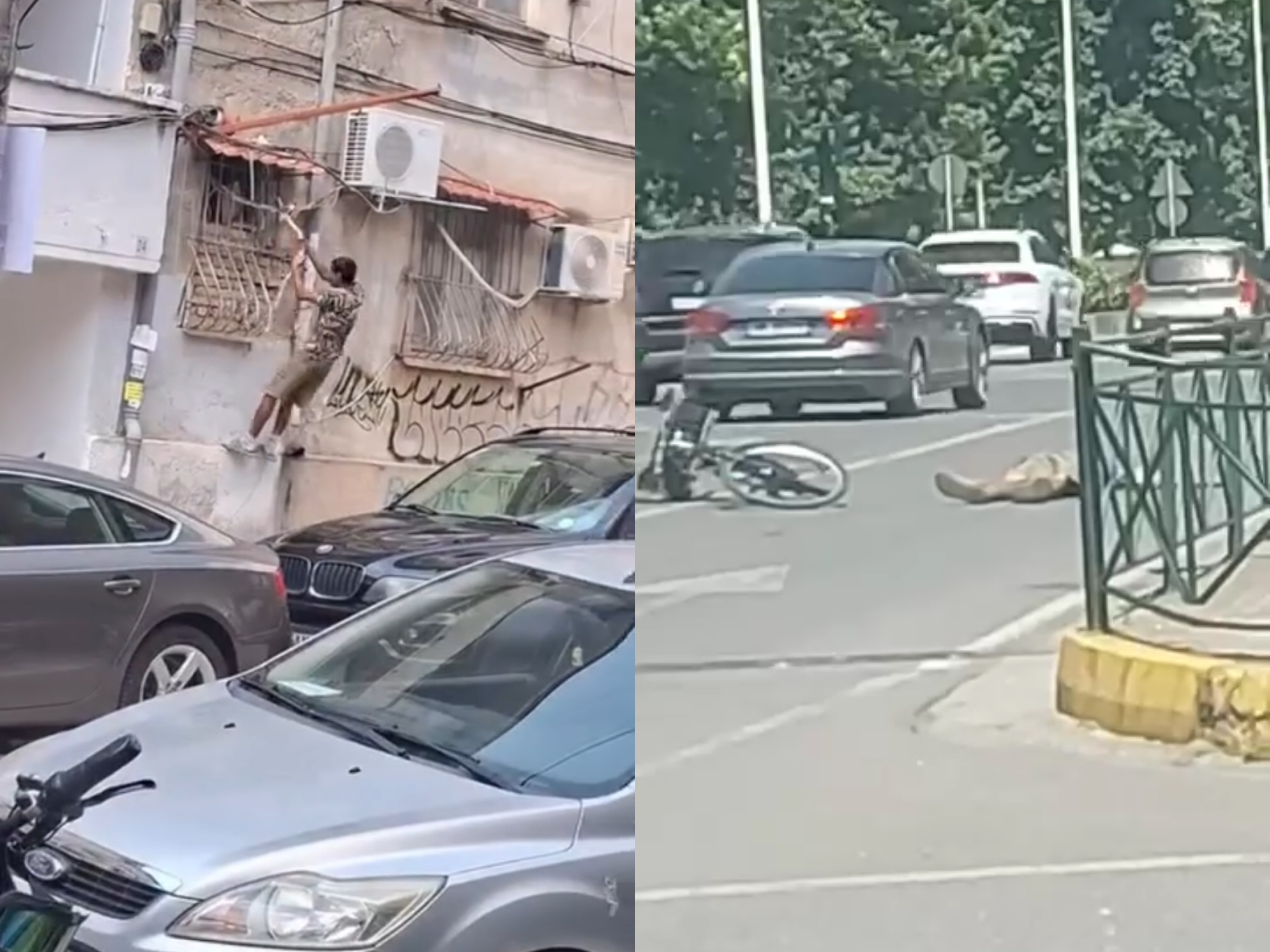 Pasi vodhi kabullin elektrik, i riu godet me grushte autobusin dhe rrëzohet në tokë