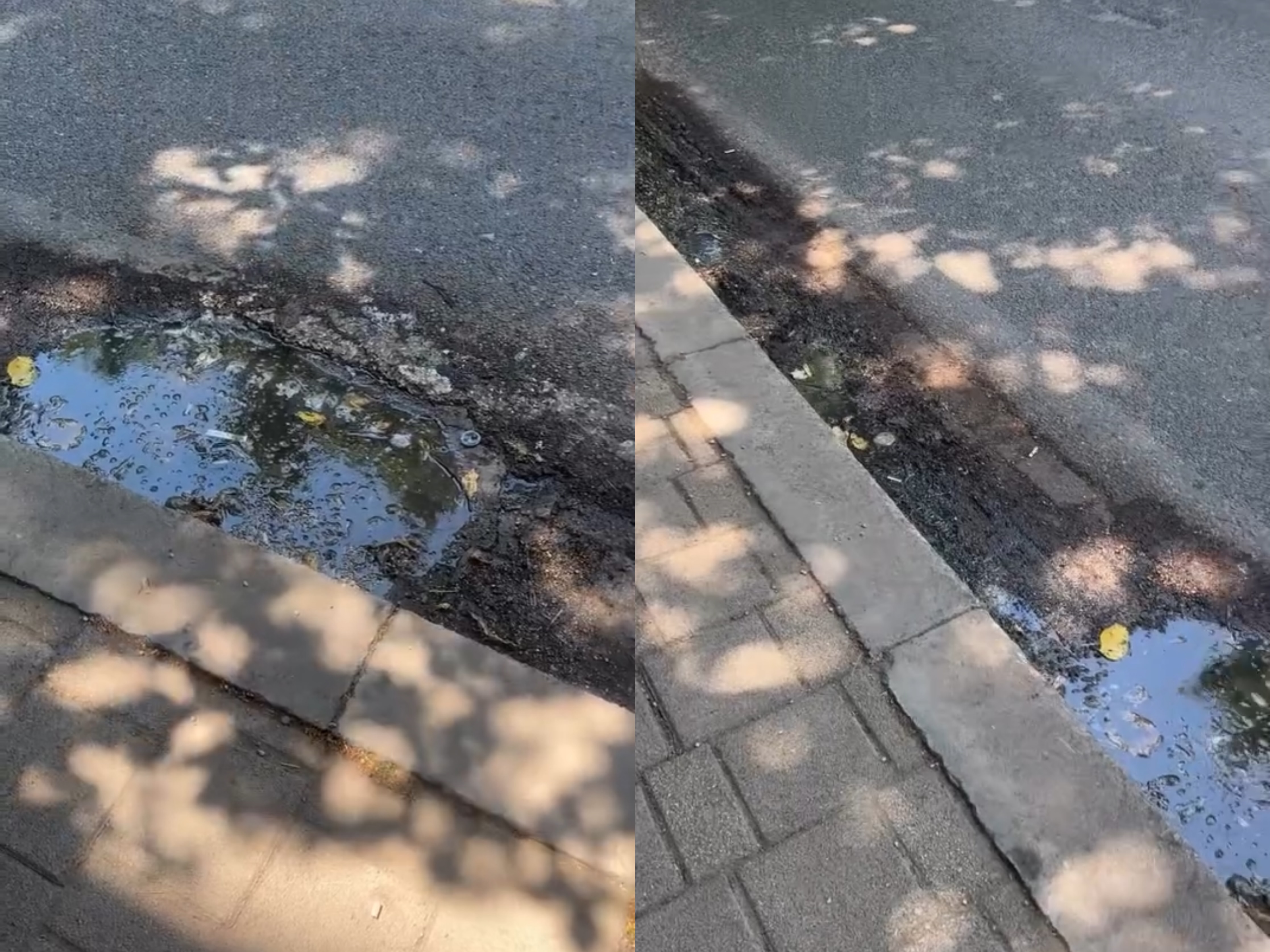 Ujërat e zeza dalin në sipërfaqe  banorët  Po qelbemi  UKT s na ndihmon