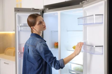 Në sa gradë duhet ta mbani frigoriferin gjatë verës? Mos e ulni nën këtë temperaturë
