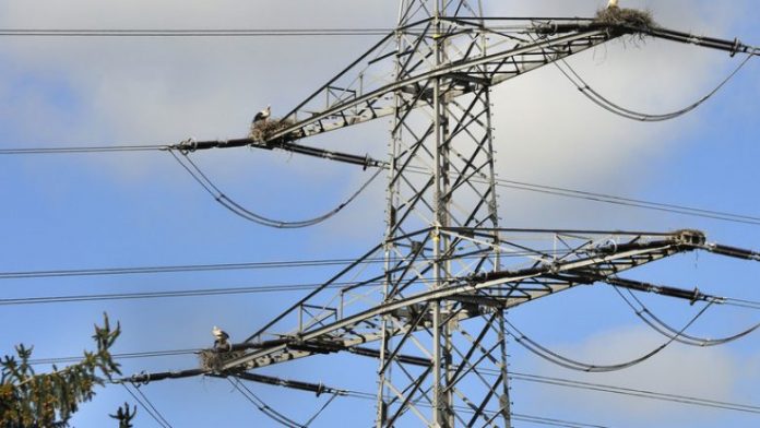KEDS njofton për prishje të rrjetit elektrik në disa rajone si pasojë e erërave të forta