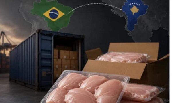 Vetëm nga Brazili, Kosova importoi miliona tonë mish pule gjatë këtij viti