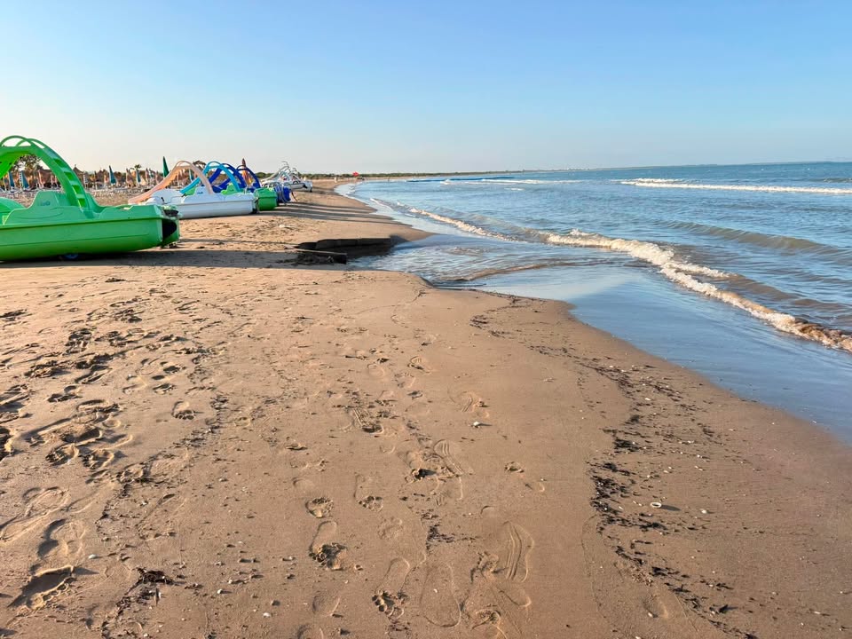 Plazhi në Gjirin e Lalzit  pushtohet  nga m ti  E mbulojnë tubin me pedalon 