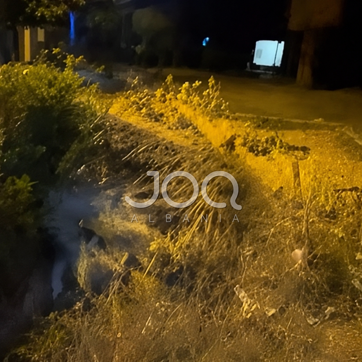 Tiranë: “Pemë të prera dhe mbeturina prej javësh, zona është lënë në harresë”