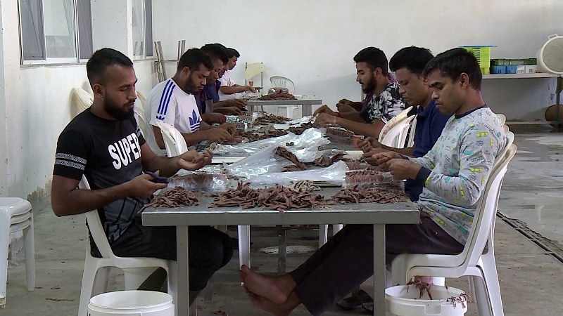 50  e të punësuarve në Shqipëri nga Filipinet  India e Egjipti