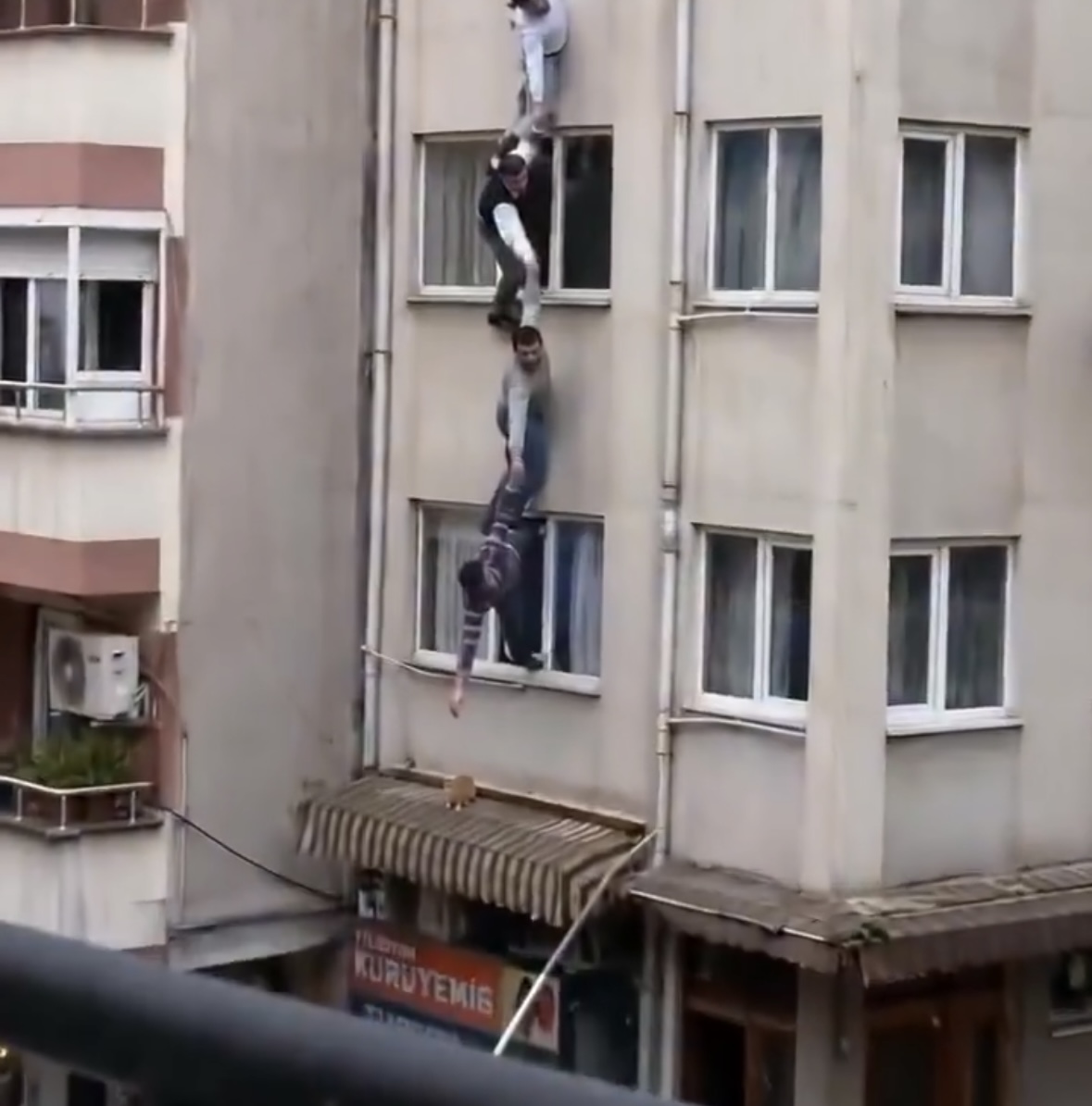 Burrat bëhen zinxhir për të shpëtuar macen por ajo ia del vetë
