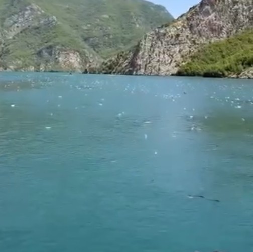 Ujërat e kristaltë të Komanit kthehen në landfill plehrash