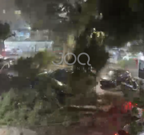 Stuhia e fuqishme godet jugun e vendit  era e fortë rrëzon pemën në Sarandë