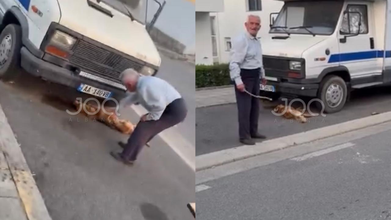 I moshuari godet qentë endacakë me shkopinj deri në ngordhje  ku është policia 