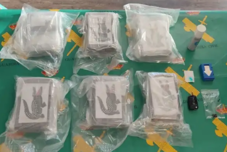 kokaine-me-logon-e-krokodilit-nga-mafia-shqiptare-apo-nga-sinaloa