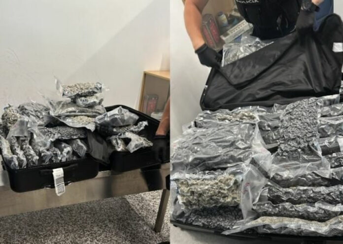 Droga në Rinas  Identifikohet një prej të arrestuarve  tentoi të shmangte kontrollin me një pretendim të rremë