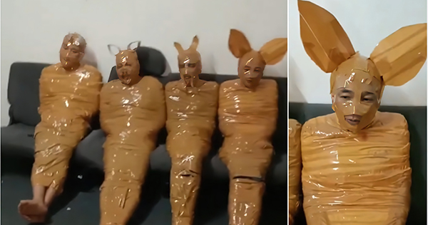 Zbulon hajdutët në shtëpi  u ngre kurth dhe i lidh   I shndërrova në Teletubbies 