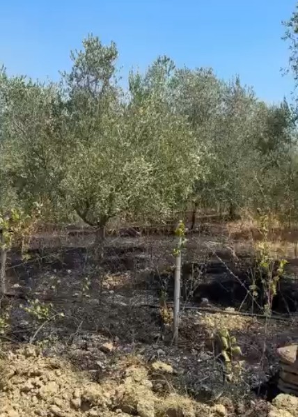 Fadromat e 4AM të Metaliajt lënë pa drita banorët e Kasharit, prej 4 orësh asnjë masë
